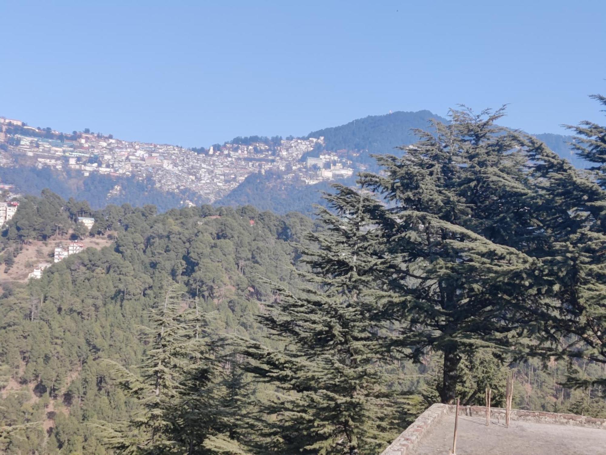 Shimla Hills Apartments 2Bhk 客房 照片